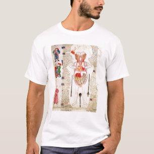 Anatomical diagram tee shirt