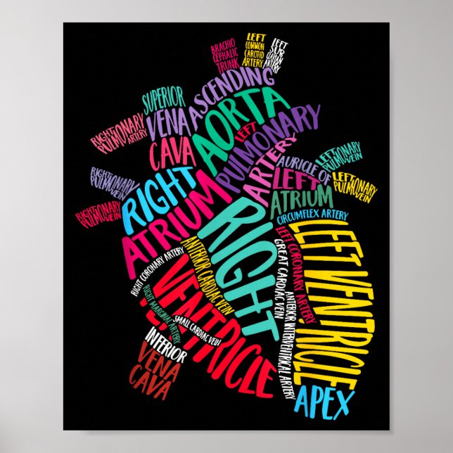 Anatomical Heart Design Cardiac Cardiovascular Icu Poster (Framsidan)