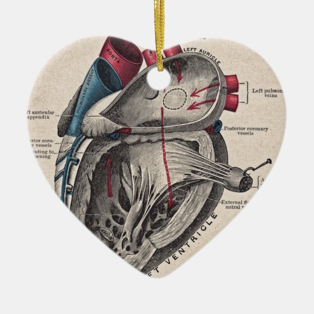 Anatomical hjärta för vintage julgransprydnad keramik (Framsidan)