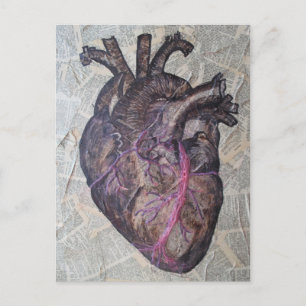 Anatomical hjärta, original- målning vykort