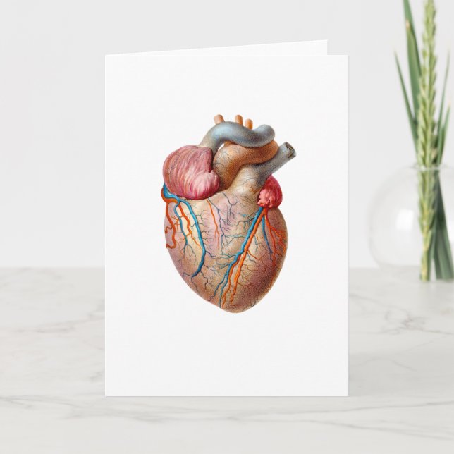 Anatomical hjärtavalentines daykort helgkort (Framsida)