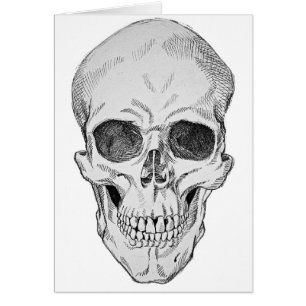 Anatomical illustration för människaskalle hälsningskort