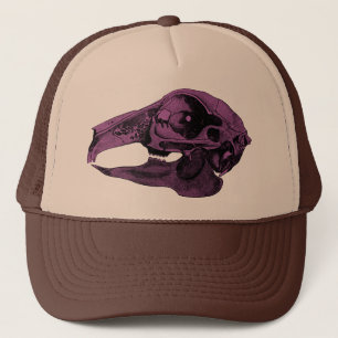 Anatomical kaninskallelilor keps