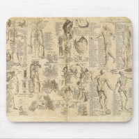 Anatomical kartlägga från Cyclopaedia 1728