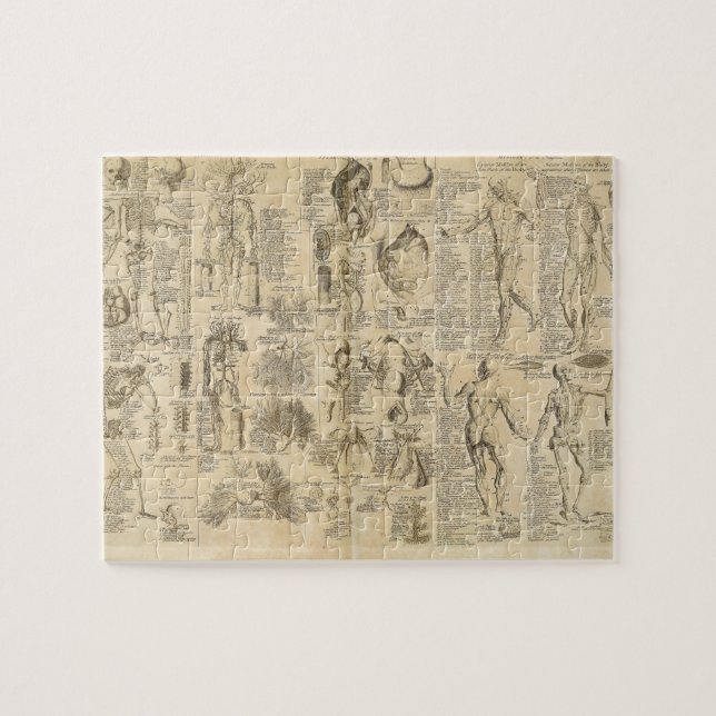 Anatomical kartlägga från Cyclopaedia 1728 Pussel (Horisontell)