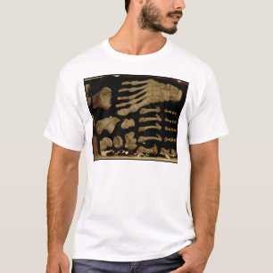 Anatomical teckning av benen av foten t shirt