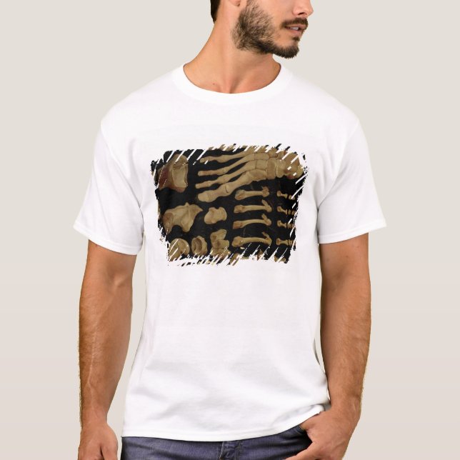 Anatomical teckning av benen av foten tee shirt (Framsida)