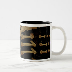 Anatomical teckning av benen av foten Två-Tonad mugg