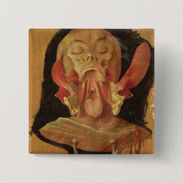 Anatomical teckning av huvudet knapp (Framsida)