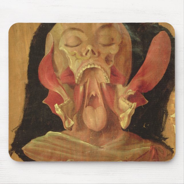 Anatomical teckning av huvudet musmatta (Framsidan)