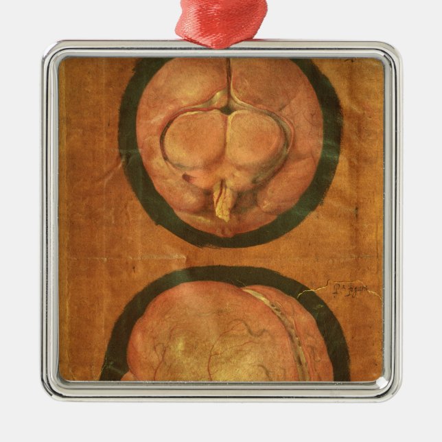 Anatomical teckning av människahjärnan julgransprydnad metall (Framsidan)