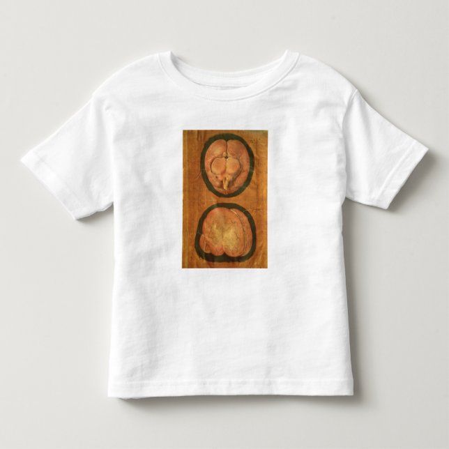 Anatomical teckning av människahjärnan t-shirt (Framsida)
