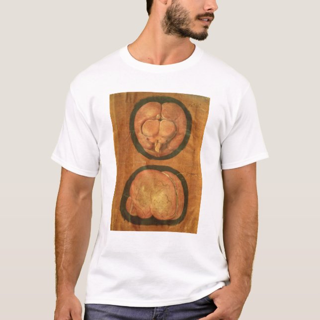 Anatomical teckning av människahjärnan t-shirt (Framsida)