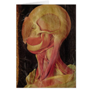 Anatomical teckning av människahuvudet hälsningskort