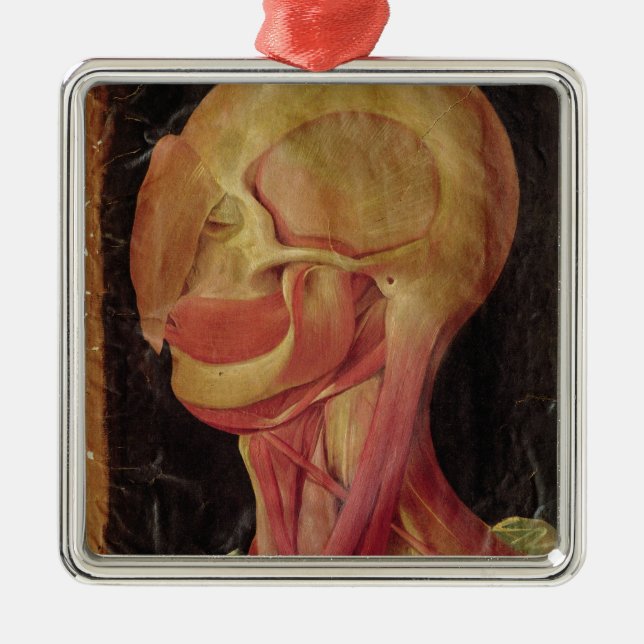 Anatomical teckning av människahuvudet julgransprydnad metall (Framsidan)