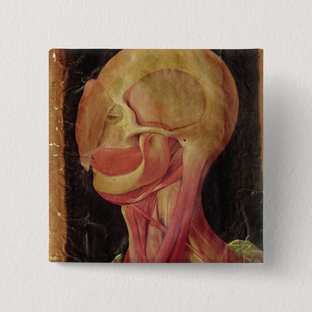 Anatomical teckning av människahuvudet knapp (Framsida)