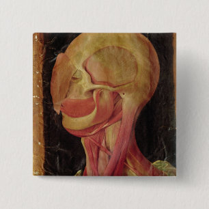 Anatomical teckning av människahuvudet knapp