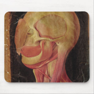 Anatomical teckning av människahuvudet musmatta