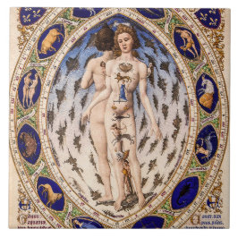 Anatomical Zodiac Man Kakelplatta