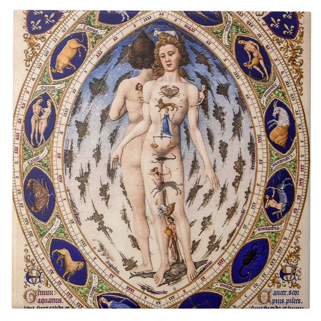 Anatomical Zodiac Man Kakelplatta (Framsidan)