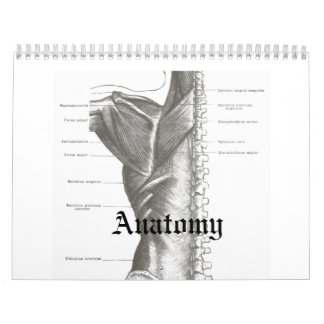Anatomikalender Kalender