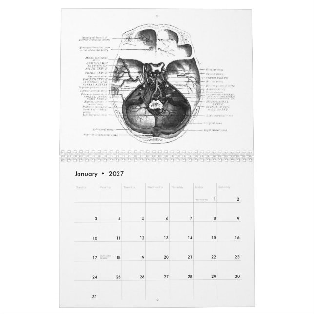 Anatomikalender Kalender (Jan 2027)