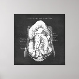 Anatomikonst av matsmältningssystemet Doktor Gift Canvastryck