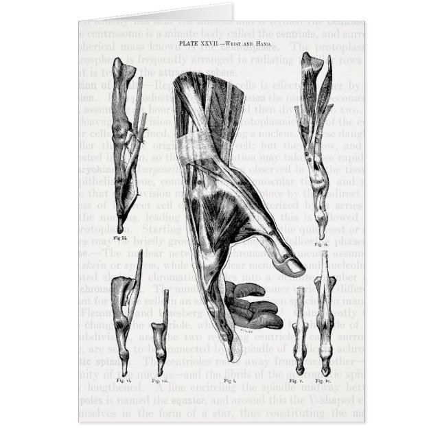 Anatomikonst musklerna av räcka och wristen hälsningskort (Framsidan)
