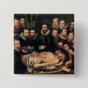 Anatomikursen av skåpbilder för doktor Willem Knapp