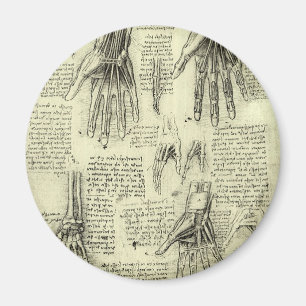Anatomin hos Human Hand av Leonardo da Vinci Magnet