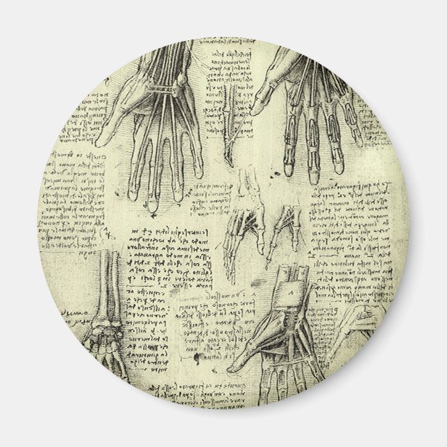 Anatomin hos Human Hand av Leonardo da Vinci Magnet (Framsidan)