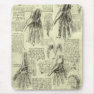 Anatomin hos Human Hand av Leonardo da Vinci Musmatta