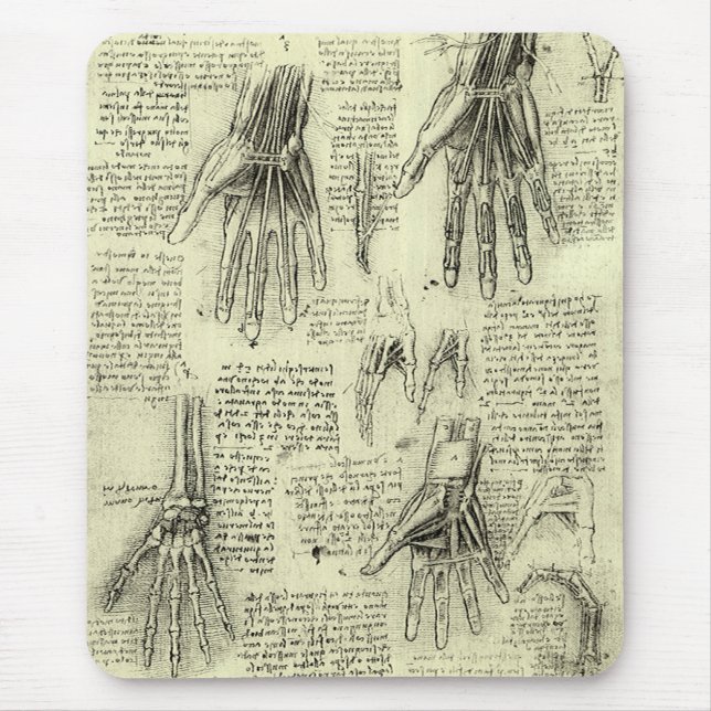 Anatomin hos Human Hand av Leonardo da Vinci Musmatta (Framsidan)