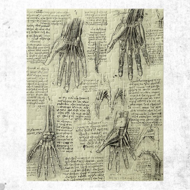 Anatomin hos Human Hand av Leonardo da Vinci Pussel (Skapare uppladdad)