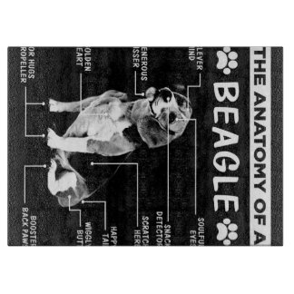 Anatomin i en beagle-Hund
