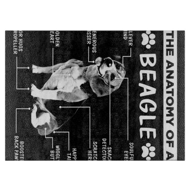 Anatomin i en beagle-Hund (Framsidan)