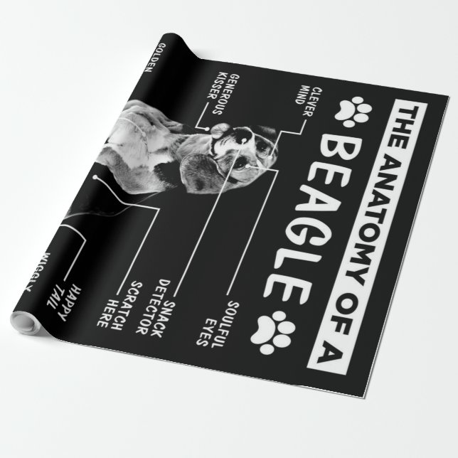 Anatomin i en beagle-Hund Presentpapper (Utrullad)