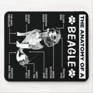 Anatomin i en beagles Hund Musmatta