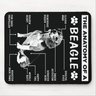 Anatomin i en beagles Hund Musmatta