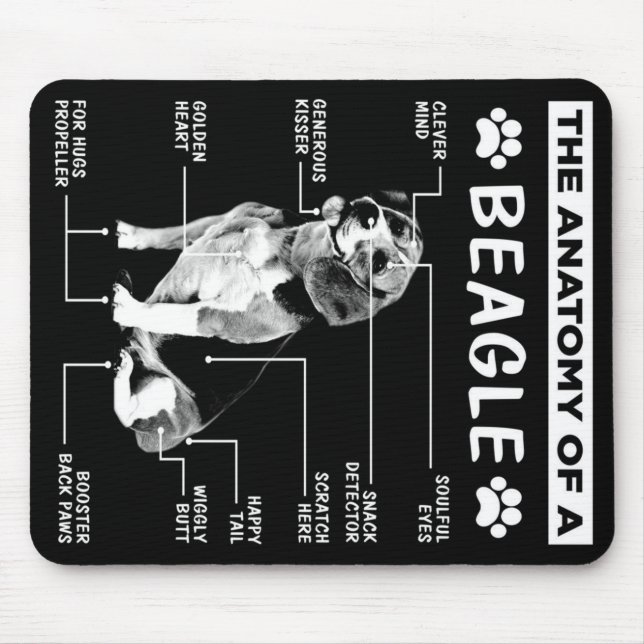 Anatomin i en beagles Hund Musmatta (Framsidan)
