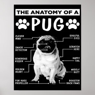 Anatomin i en Pug Djurälskare Poster