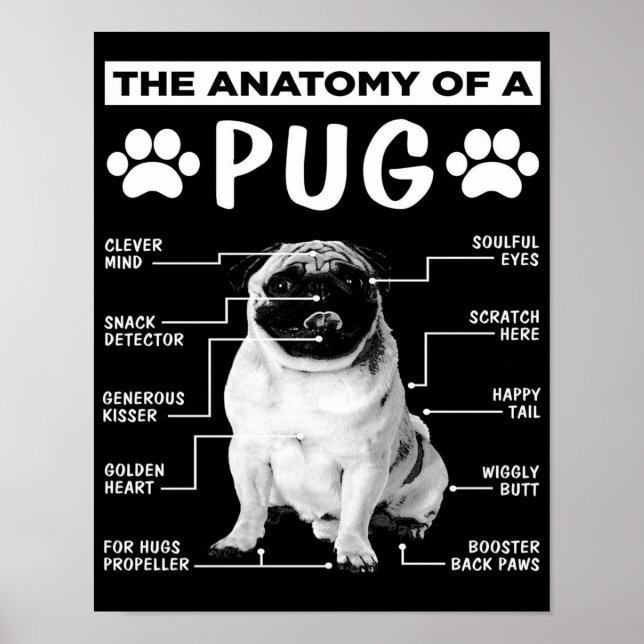 Anatomin i en Pug Djurälskare Poster (Framsidan)