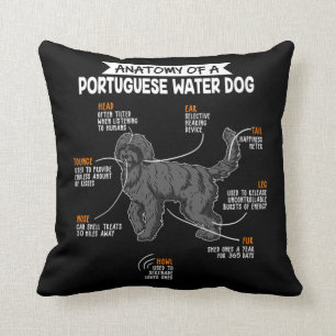 Anatomin i ett portugisiskt gåva från Hund Vatte Kudde