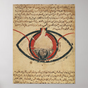 Anatomin i Öga, från ett bok om sjukdomar i öga Poster