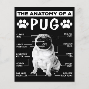 Anatomin i Pug Hund älskare Flygblad