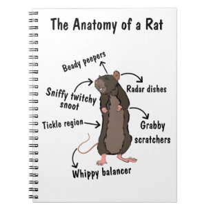 Anatomin i Råtta Anteckningsbok
