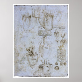 Anatomin of the Human Heart, Leonardo da Vinci Poster