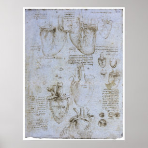 Anatomin of the Human Heart, Leonardo da Vinci Poster
