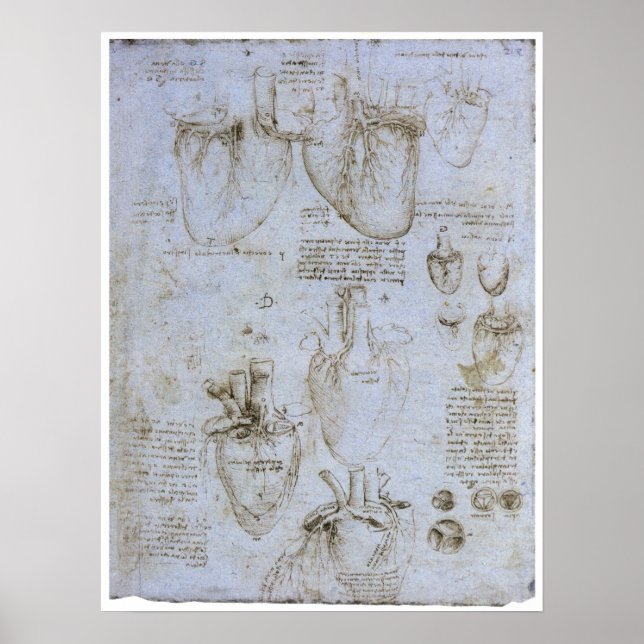 Anatomin of the Human Heart, Leonardo da Vinci Poster (Framsidan)