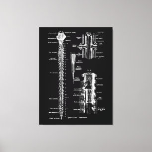 Anatomisk anatomisk anatomisk anatomi canvastryck
